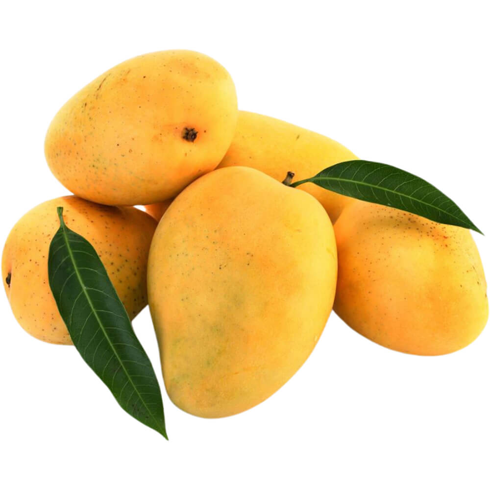 مانجو باكستانى
