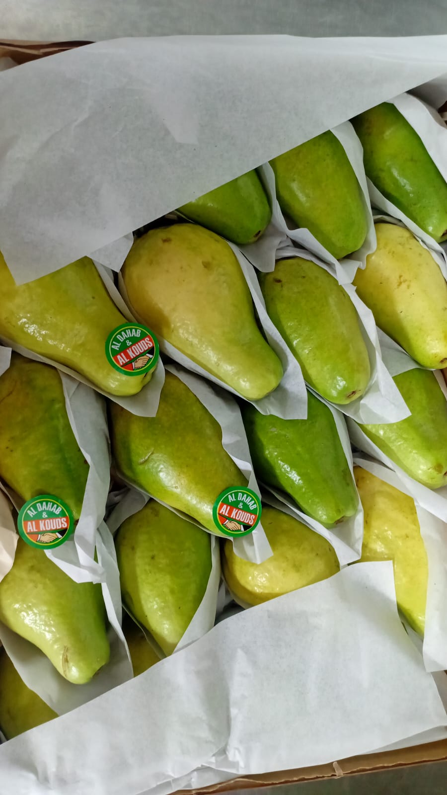 جوافة مصرى