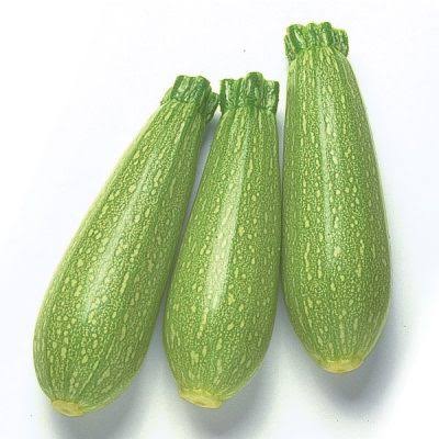 كوسة