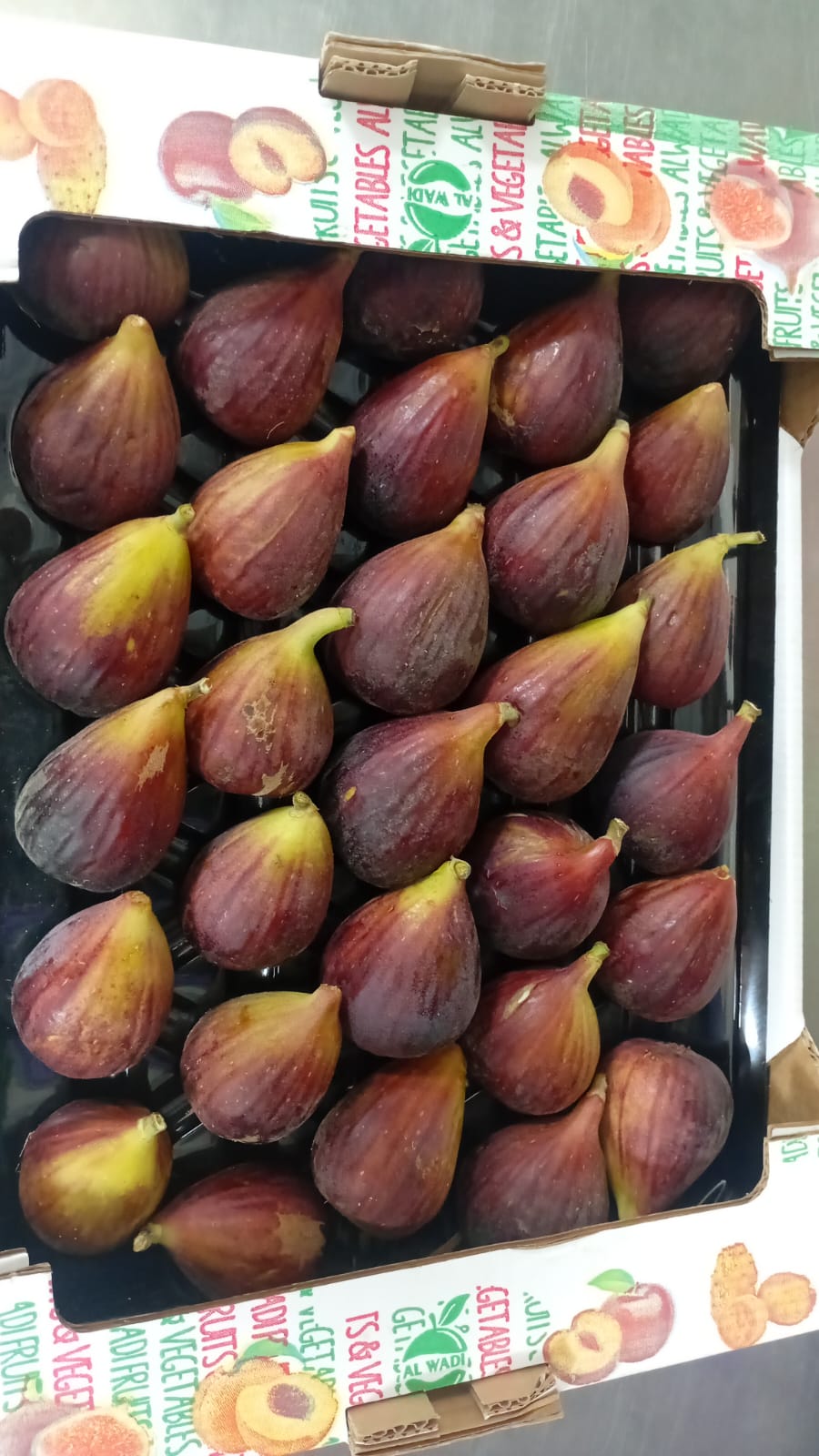 تين