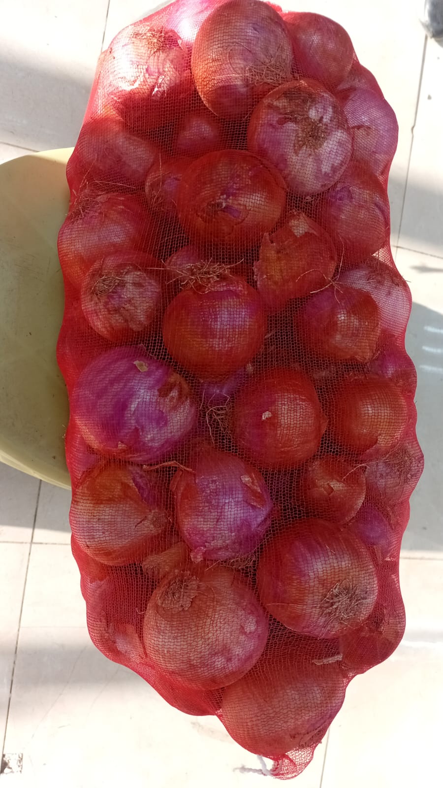 بصل أحمر (جونيه 10ك)
