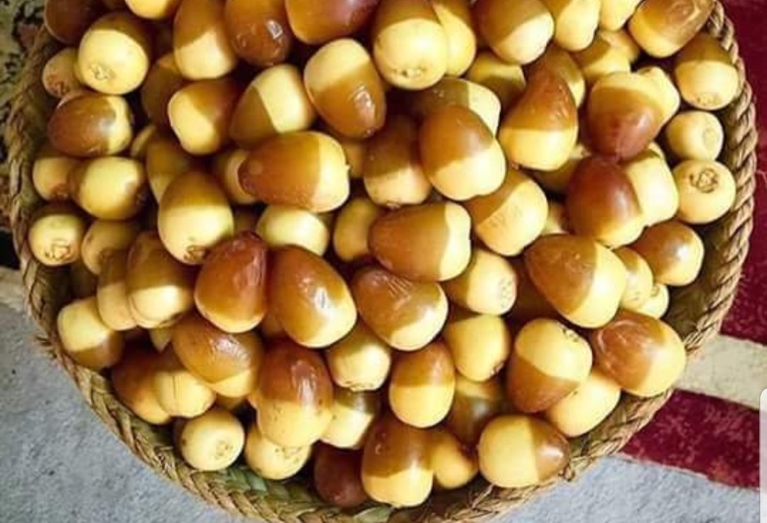 رطب ( بومعان )