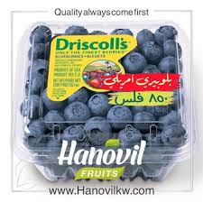 بلوبيري