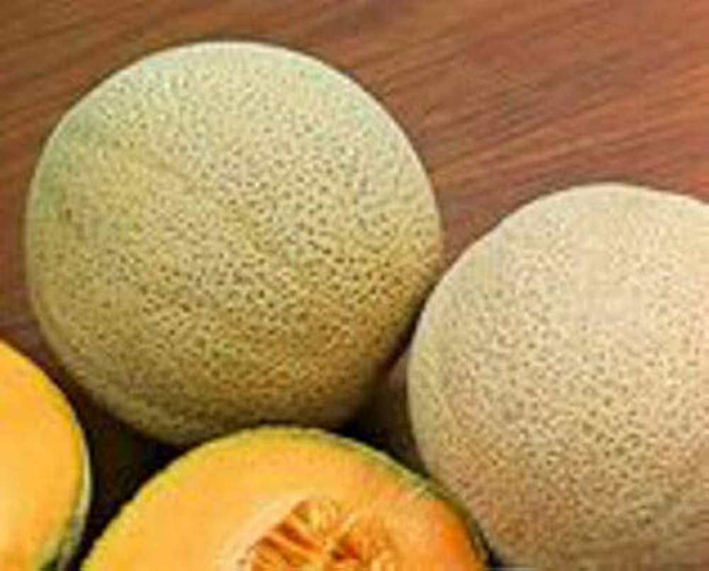 شمام ( بالحبة )