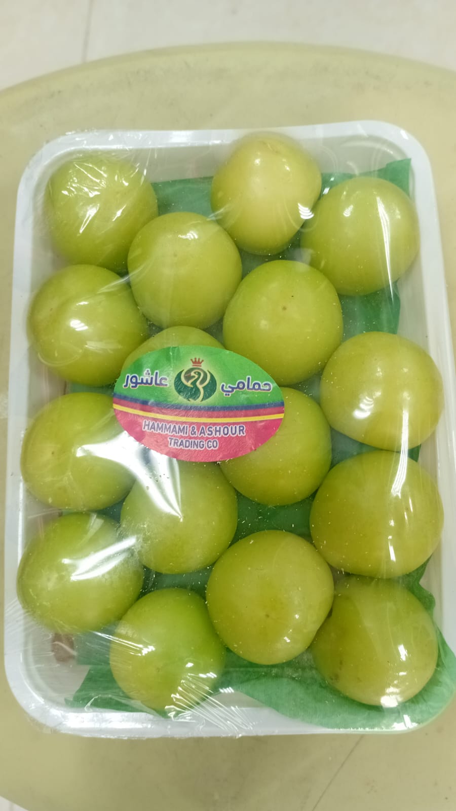 نبق